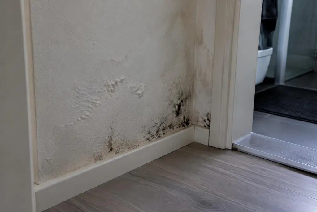Lekdetectie Twello – vochtplek met schimmel op een muur